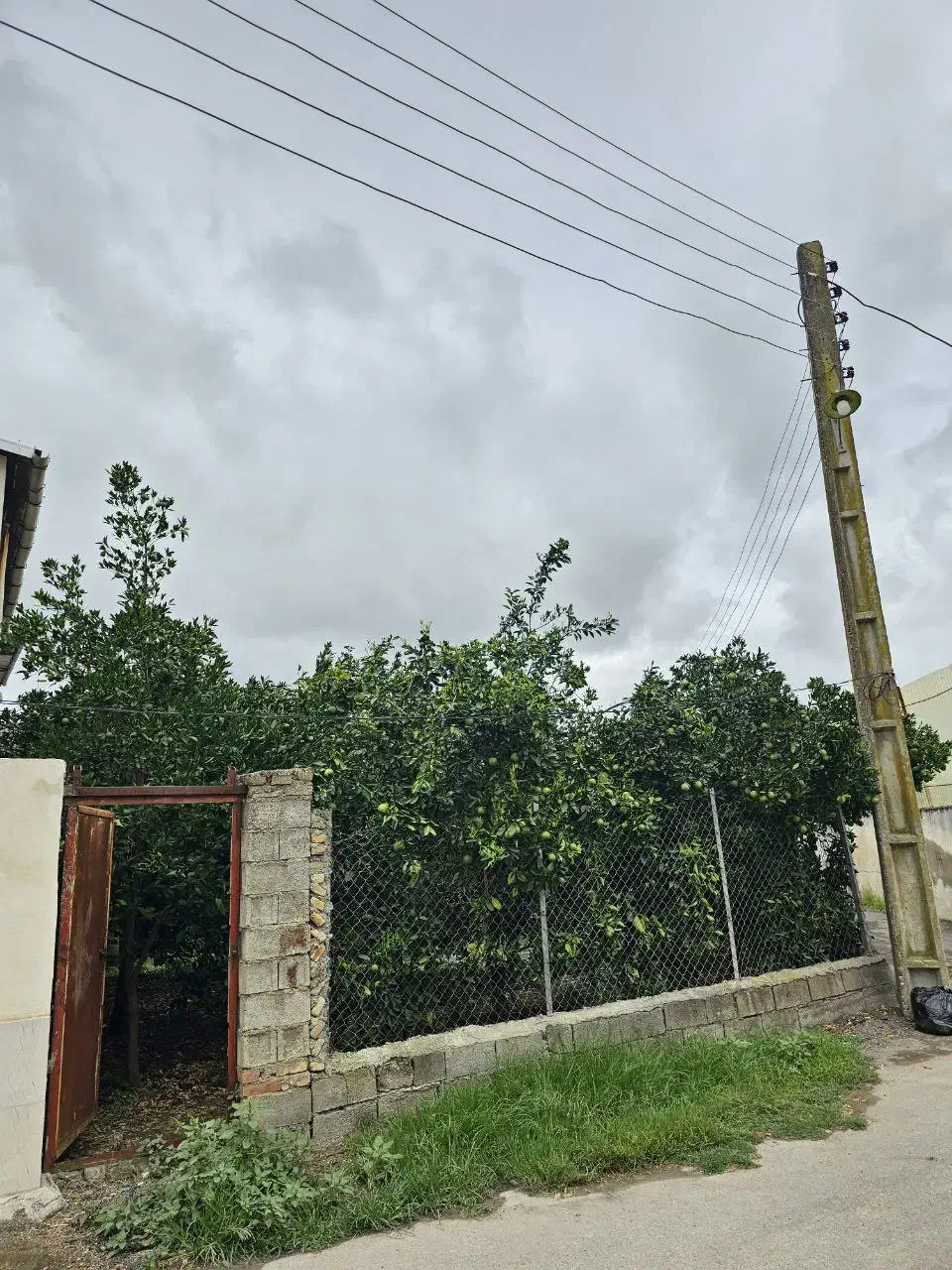 زمین مسکونی ۲۰۰ متری|فروش زمین و ملک کلنگی|ارطه, |دیوار