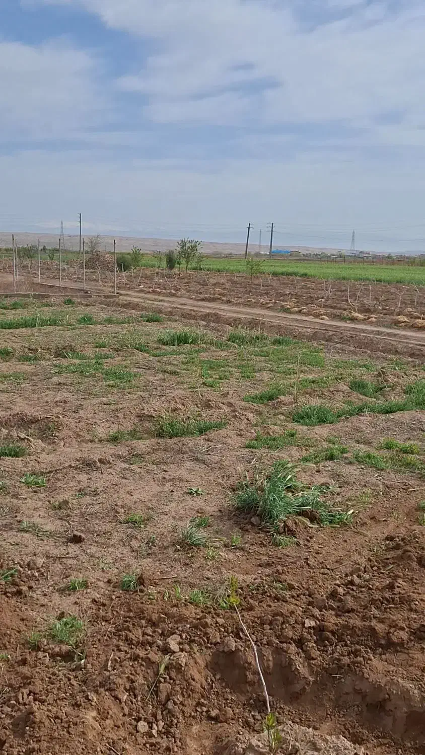 فروش باغ مزرعه شهید گنجی|فروش خانه و ویلا|اشتهارد, |دیوار