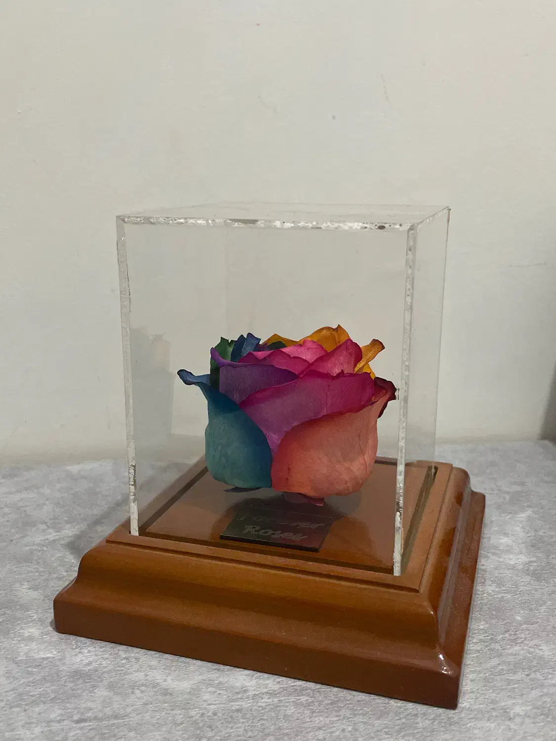 گل رز جاویدان هفت رنگ|گل مصنوعی|پاکدشت, پاکدشت (مامازند)|دیوار