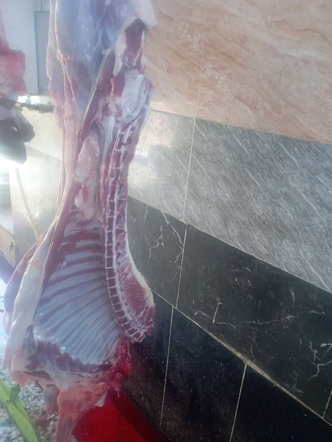 لاشه و  آلایش بره و بزغاله کشتار در لحظه|حیوانات مزرعه|قم, باغ شازده|دیوار