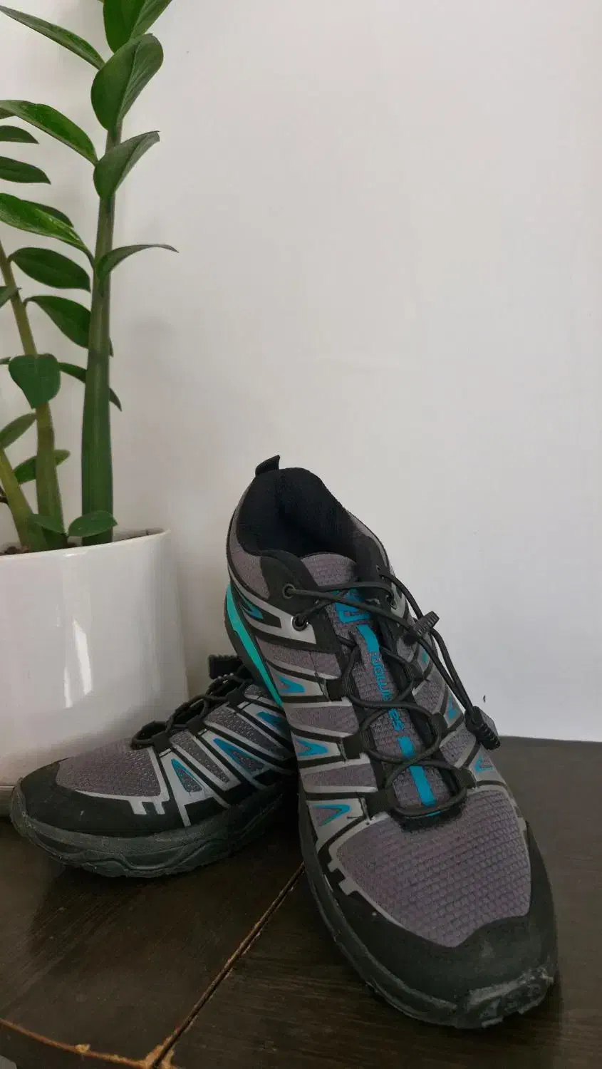 دو عدد کفش|کیف، کفش، کمربند|هشتگرد, هشتگرد قدیم|دیوار