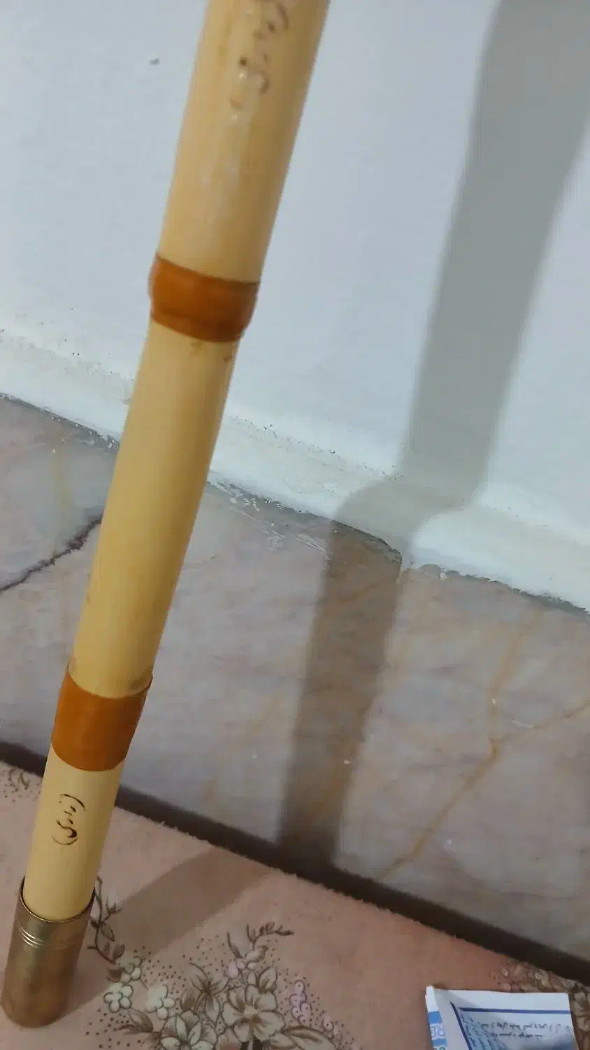 نی کوک سل|سازهای بادی|مشهد, ادیب نیشابوری (شهرک غرب)|دیوار