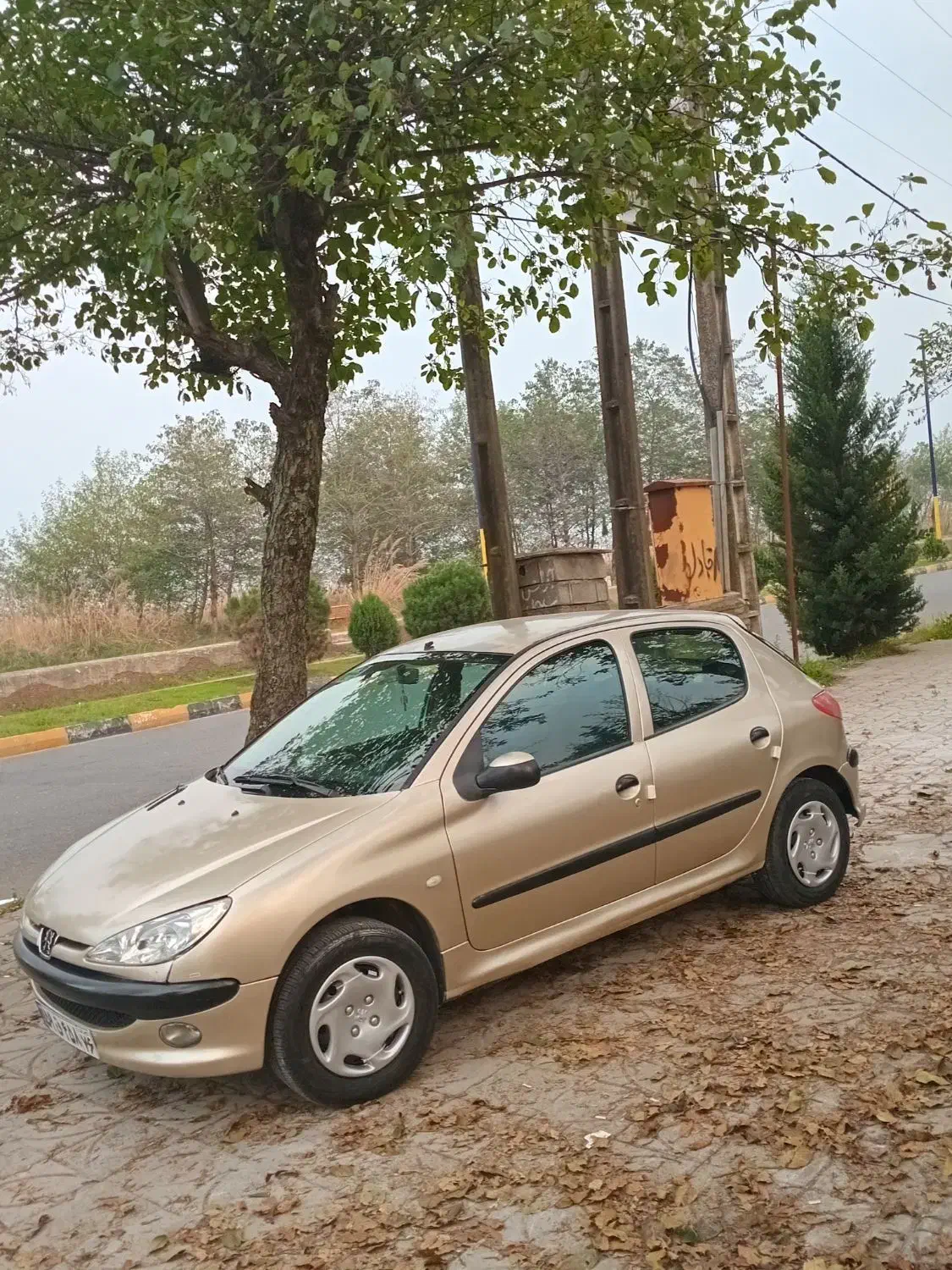 ۲۰۶ مدل ۸۳ شاسی پلمپ|خودرو سواری و وانت|رودسر, |دیوار