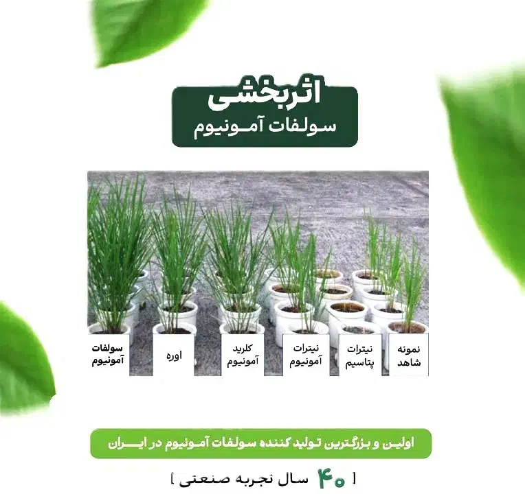 کود ( سولفات آمونیوم )|گل و گیاه طبیعی|مشهد, شهرک صنعتی توس|دیوار