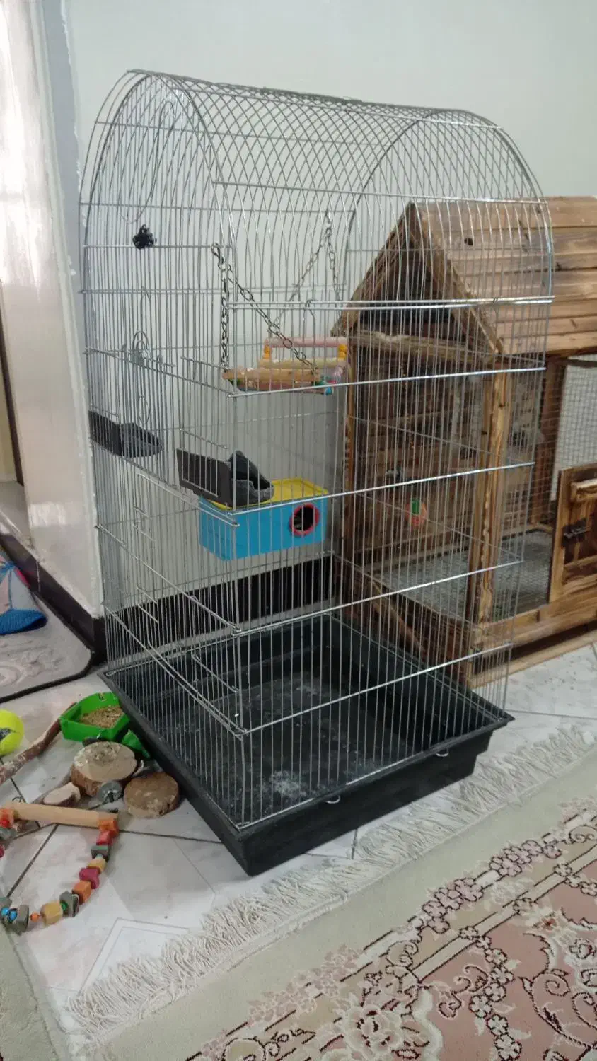 قفس زیبا|لوازم جانبی حیوانات|تهران, مشیریه|دیوار