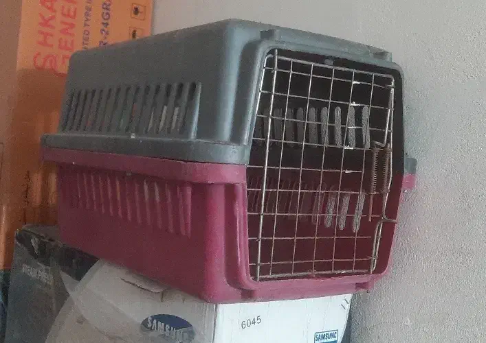 باکس حیوانات|لوازم جانبی حیوانات|پردیس, فاز ۲|دیوار