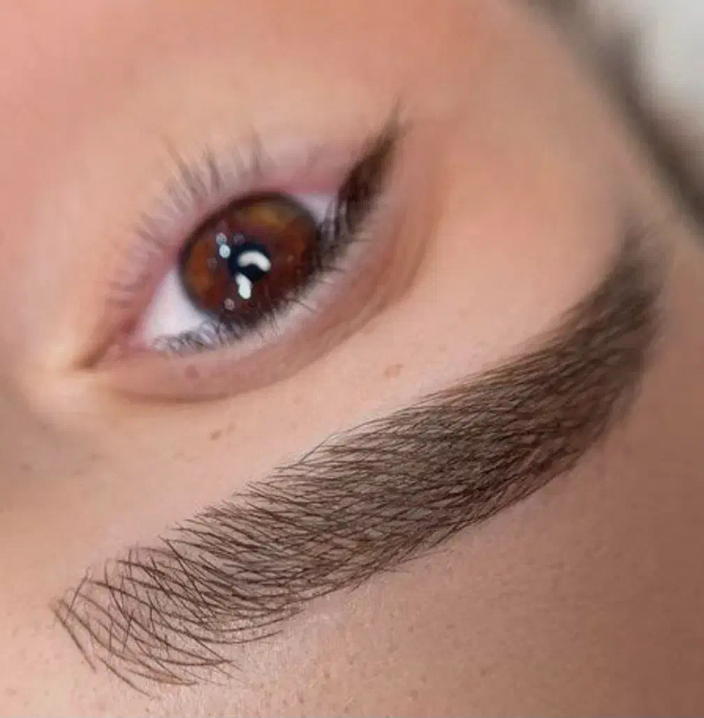 هاشور ابرو میکروپیگمنتیشن میکروبلیدینگ تتو|خدمات آرایشگری و زیبایی|تهران, پاسداران|دیوار