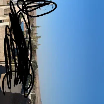 نخ قالی خلچه|فرش|مرند, |دیوار