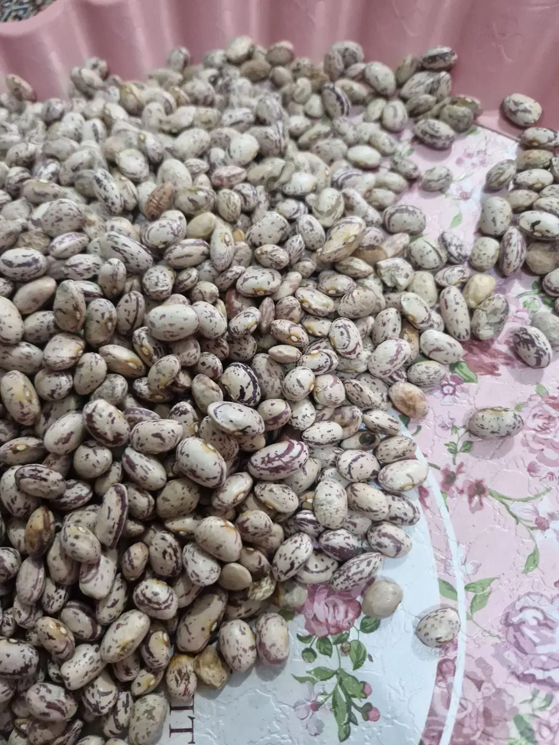 لوبیا چیتی|عمده‌فروشی|پارس‌آباد, |دیوار