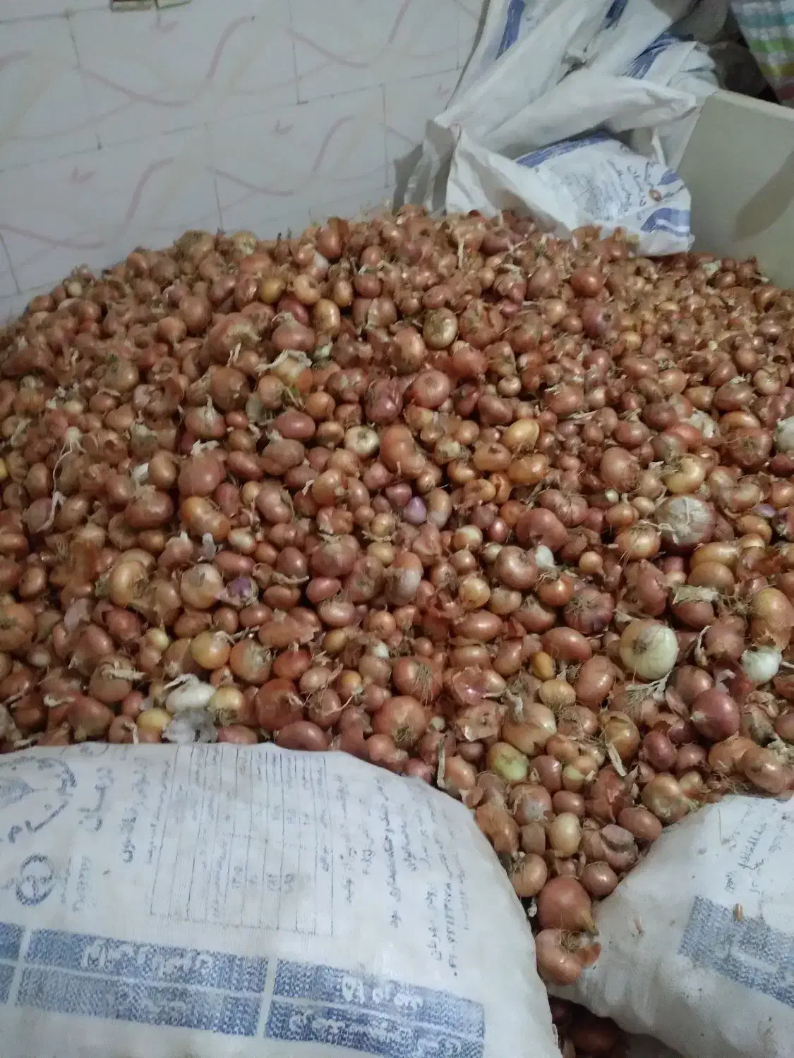 پیاز قرمز زرنق باماندگارره بالا نزدیک ۳تن|عمدهفروشی|هریس, |دیوار