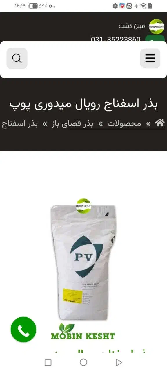 بذر اسفناج رویال میدوری|گل و گیاه طبیعی|قم, آذر (نکویی)|دیوار