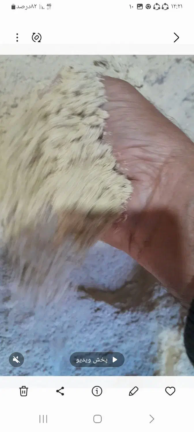 سبوس نرم ویسیان مخصوص دام|لوازم جانبی حیوانات|اندیمشک, |دیوار