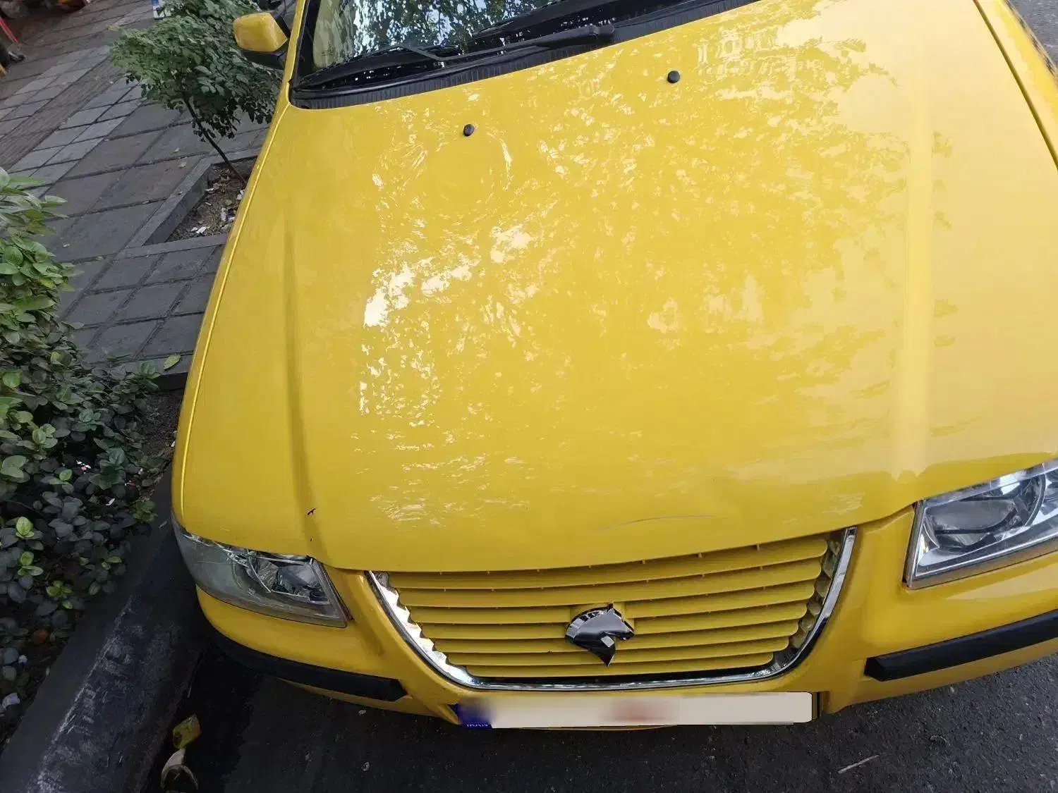 تاکسی سمند EF7 گردشی|خودرو سواری و وانت|تهران, امیریه|دیوار