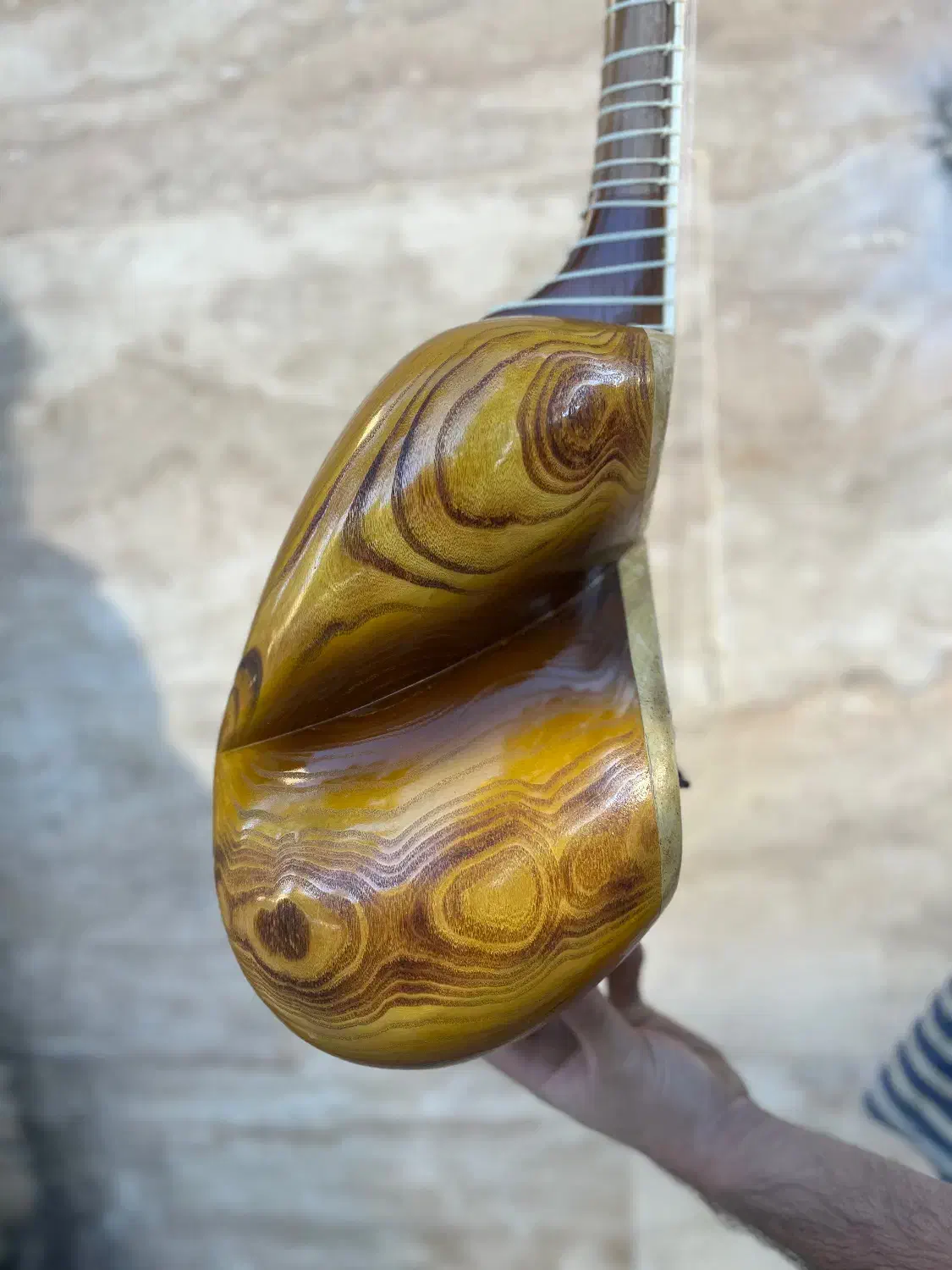 تار مستقیم از کارگاه|سازهای سنتی|تهران, پونک|دیوار