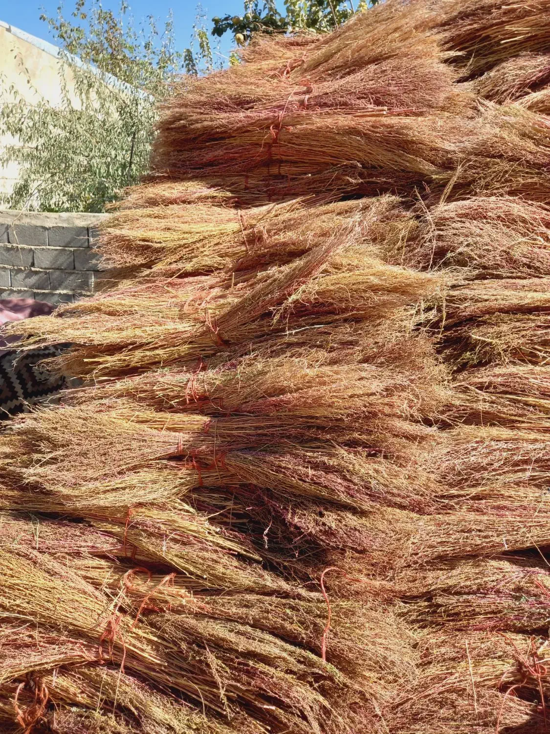 جارو|لوازم نظافت|کرمانشاه, |دیوار