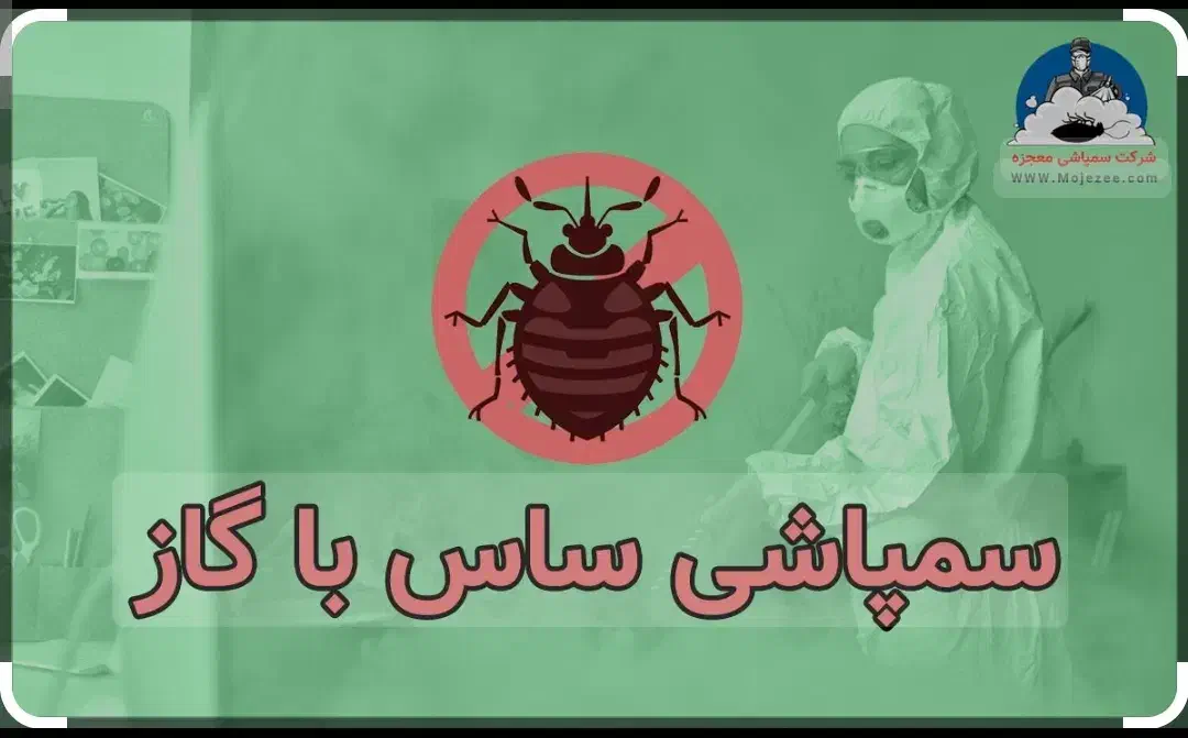 سم سوسک ساس موریانه مارمولک سمپاش|عمده‌فروشی|قم, ارم|دیوار