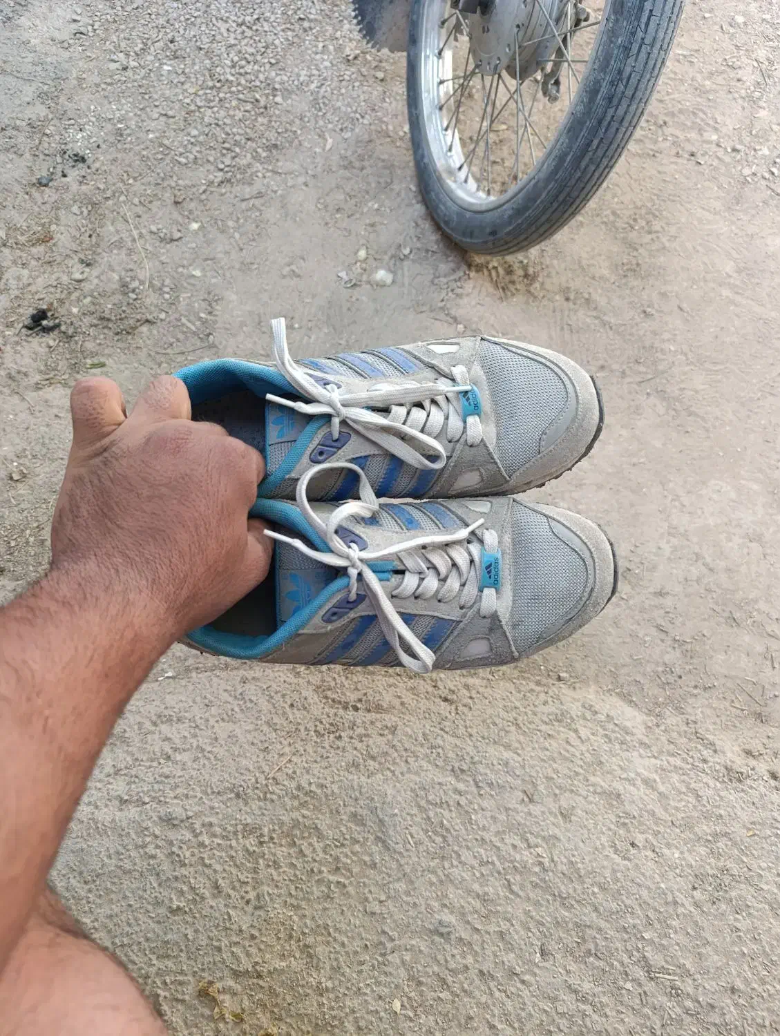 کفش|کیف، کفش، کمربند|کازرون, |دیوار