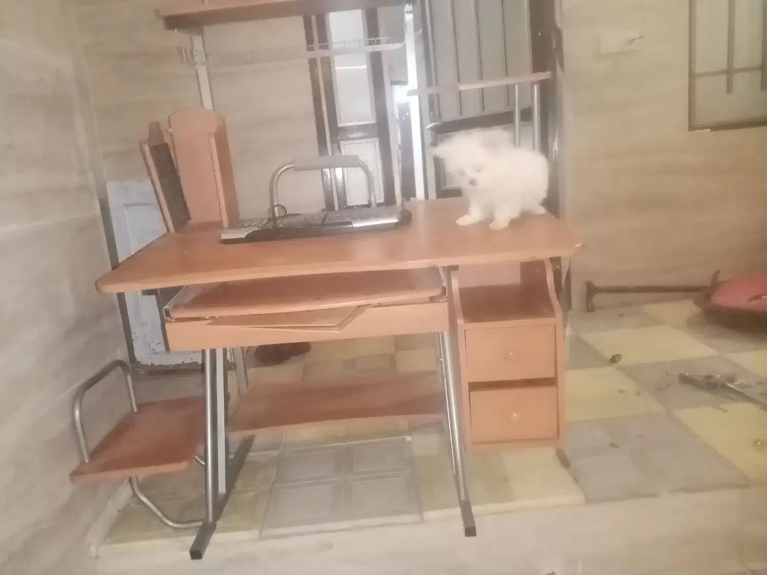 فروش میز کامپیوتر|میز تحریر و کامپیوتر|تربت‌حیدریه, اندیشه|دیوار