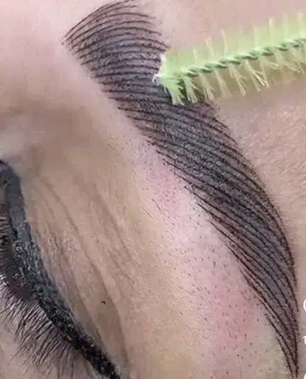 انجام خدمات ارایش دائم صورت|خدمات آرایشگری و زیبایی|میبد, |دیوار