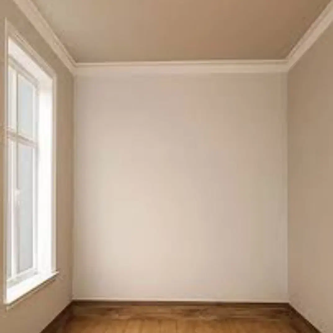 رنگ آمیزی|خدمات پیشه و مهارت|بندر ماهشهر, |دیوار