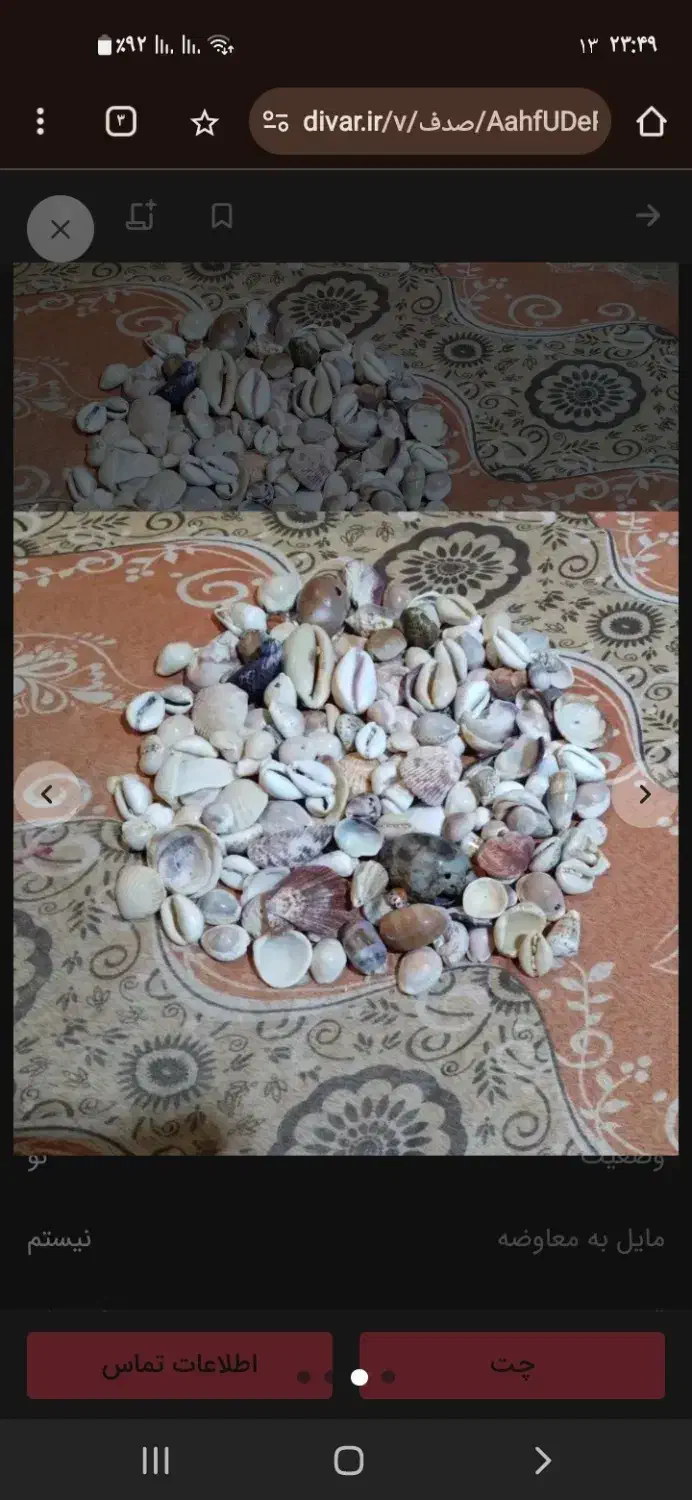 صدف  حلزون|کلکسیون و سرگرمی|امیدیه, |دیوار