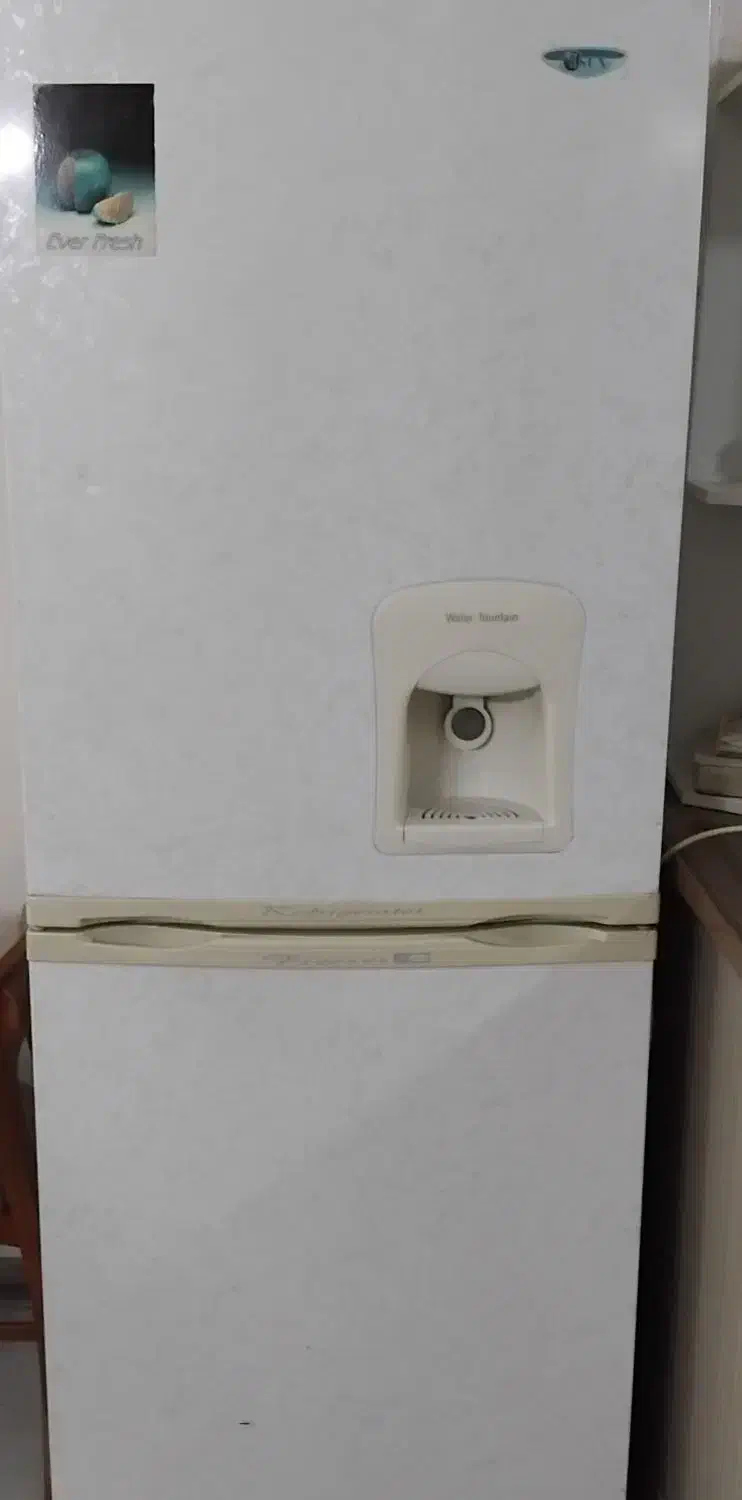 یخچال نیمه فریزر ایسان|یخچال و فریزر|فشاپویه, |دیوار