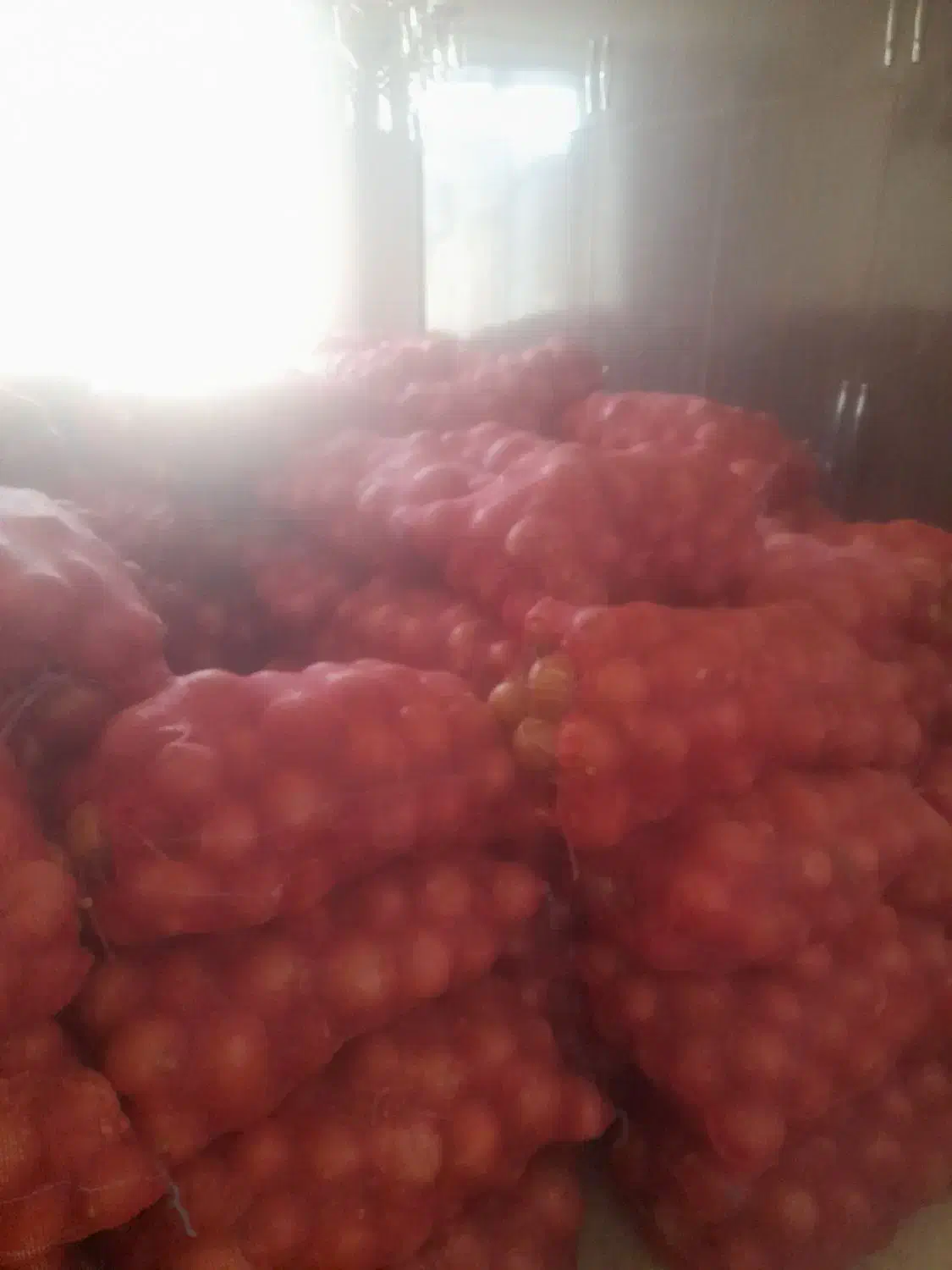 پیاز فلات|عمده‌فروشی|بجنورد, |دیوار