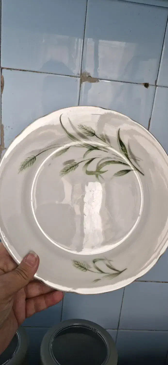 بشقاب غذا خوری و سوپ خوری|ظروف سرو و پذیرایی|تهران, زرکش|دیوار