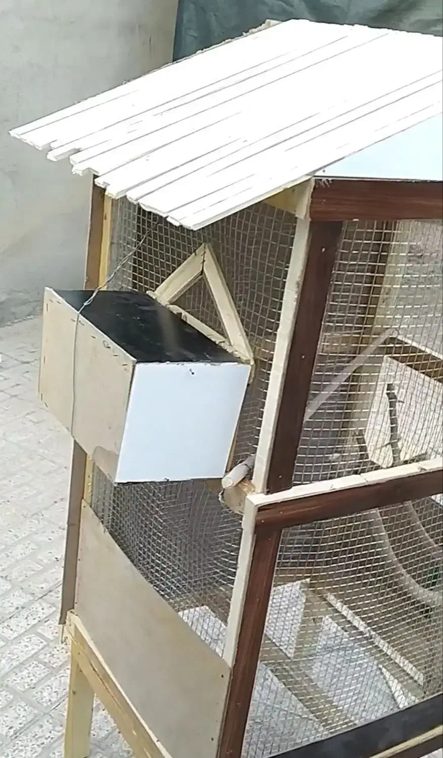 قفس .گنجه. لانه|لوازم جانبی حیوانات|سراوان, |دیوار