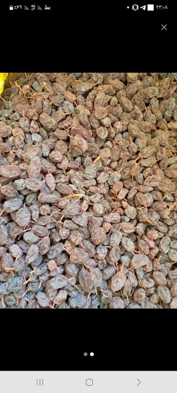 کشمش بوجاری شده|خوردنی و آشامیدنی|افشار, |دیوار