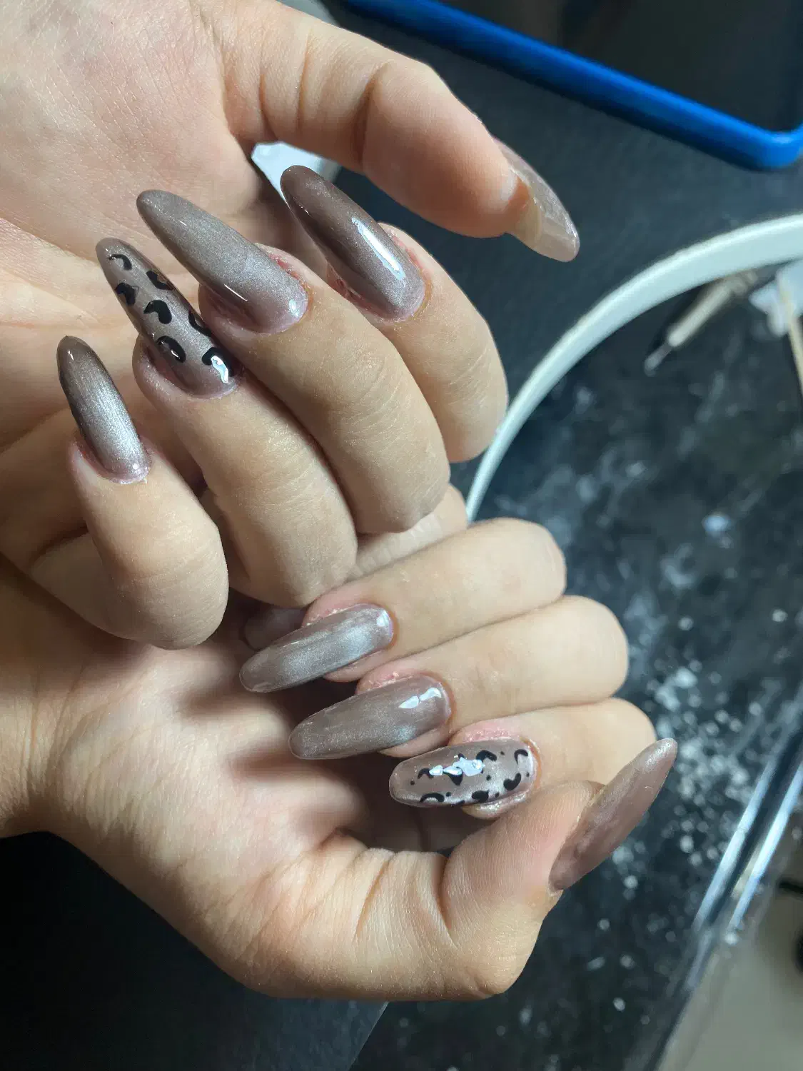 کاشت ناخن|خدمات آرایشگری و زیبایی|قوچان, |دیوار