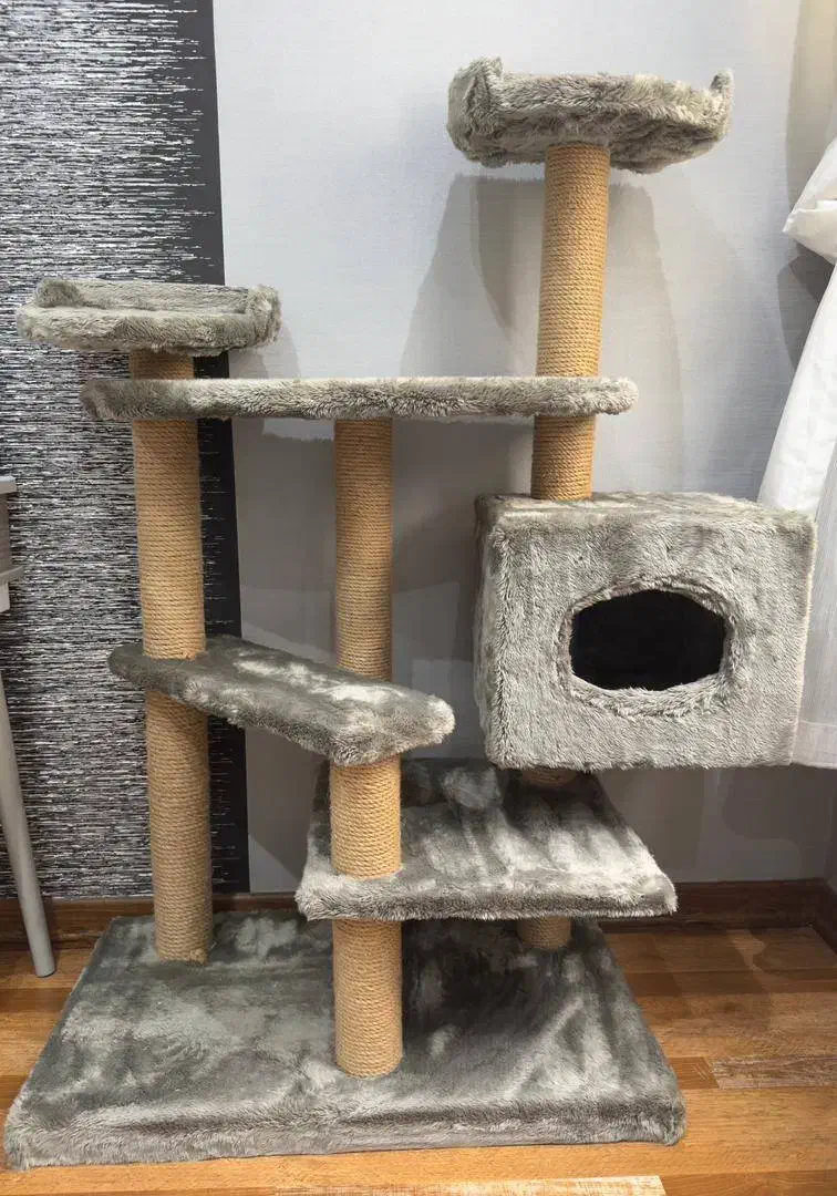 اسکرچر گربه|لوازم جانبی حیوانات|رشت, گلسار|دیوار