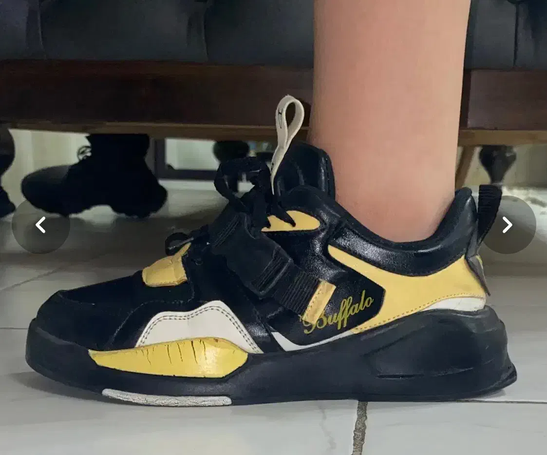 کفش|کیف، کفش، کمربند|مشهد, هفت تیر (آب و برق)|دیوار