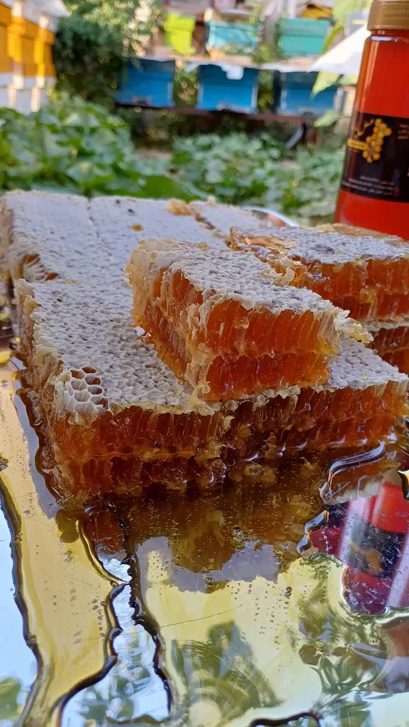 عسل طبیعی بهاره به شرط مرجوعی|خوردنی و آشامیدنی|قیدار, |دیوار