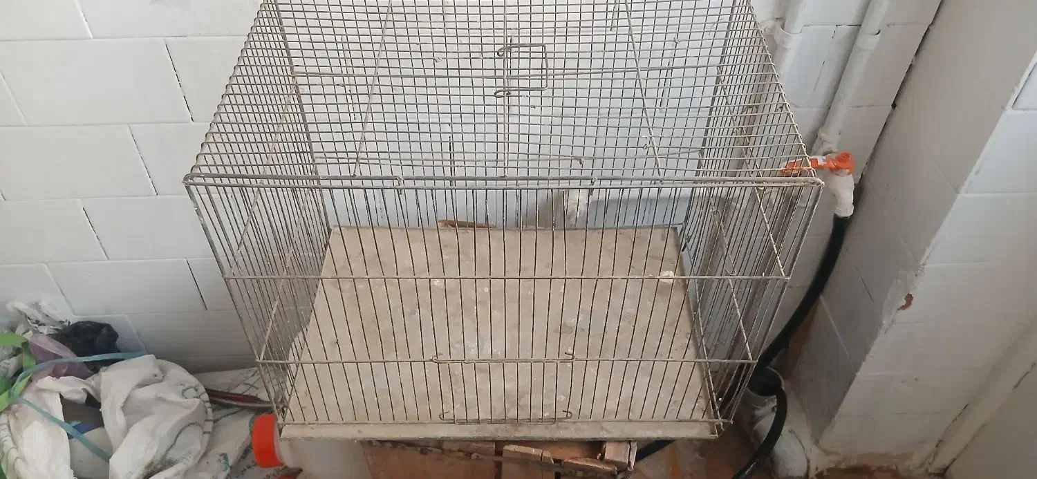 قفس پرند|لوازم جانبی حیوانات|نهاوند, |دیوار