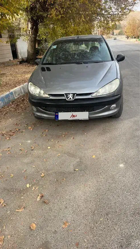 ۲۰۶مدل۸۹|خودرو سواری و وانت|شیراز, کاراندیش|دیوار