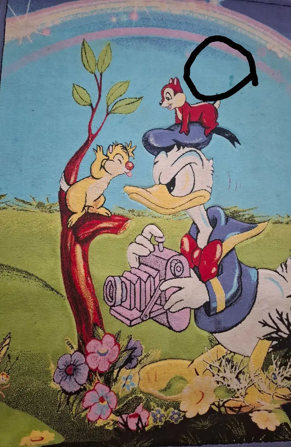 فرش اتاق کودک|فرش|کرمانشاه, |دیوار