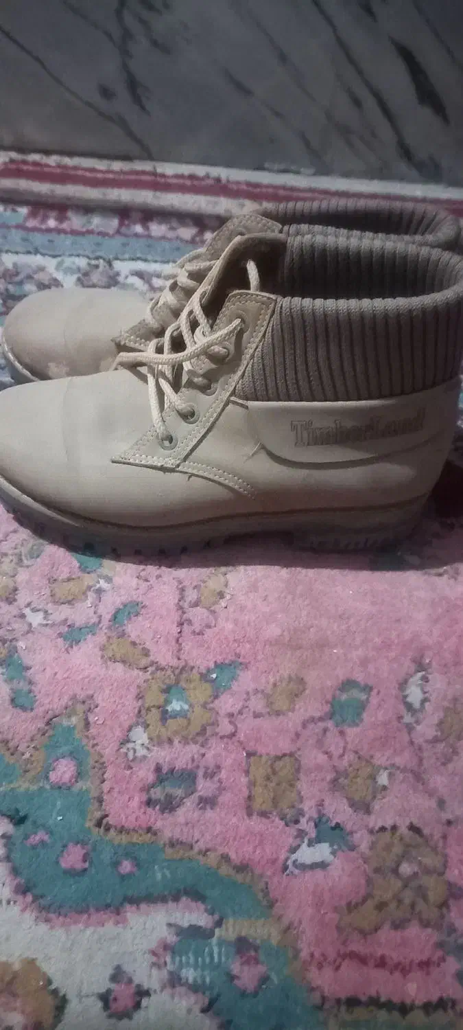 دو جفت کفش مردانه یک جفت زنانه|کیف، کفش، کمربند|تربت‌حیدریه, داروپخش|دیوار