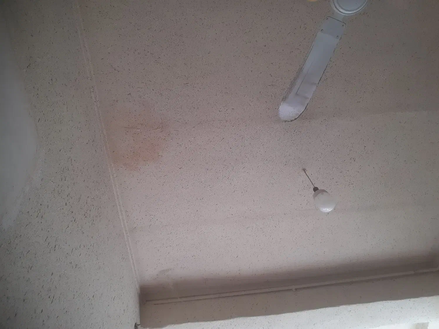 اجاره یک باب مغازه در بلوار چنار شاهی|اجارهٔ مغازه و غرفه|زرقان, |دیوار