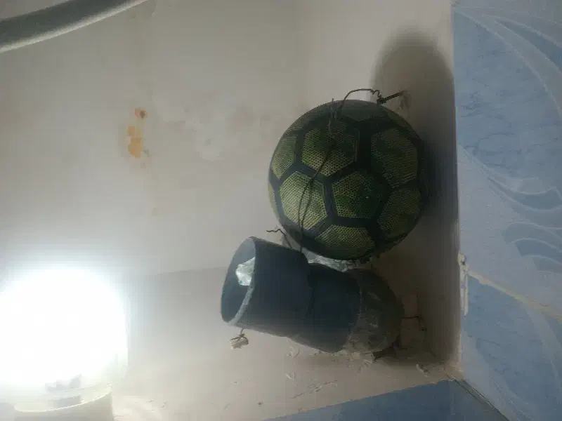 توپ|ورزشهای توپی|پاکدشت, پاکدشت (مامازند)|دیوار