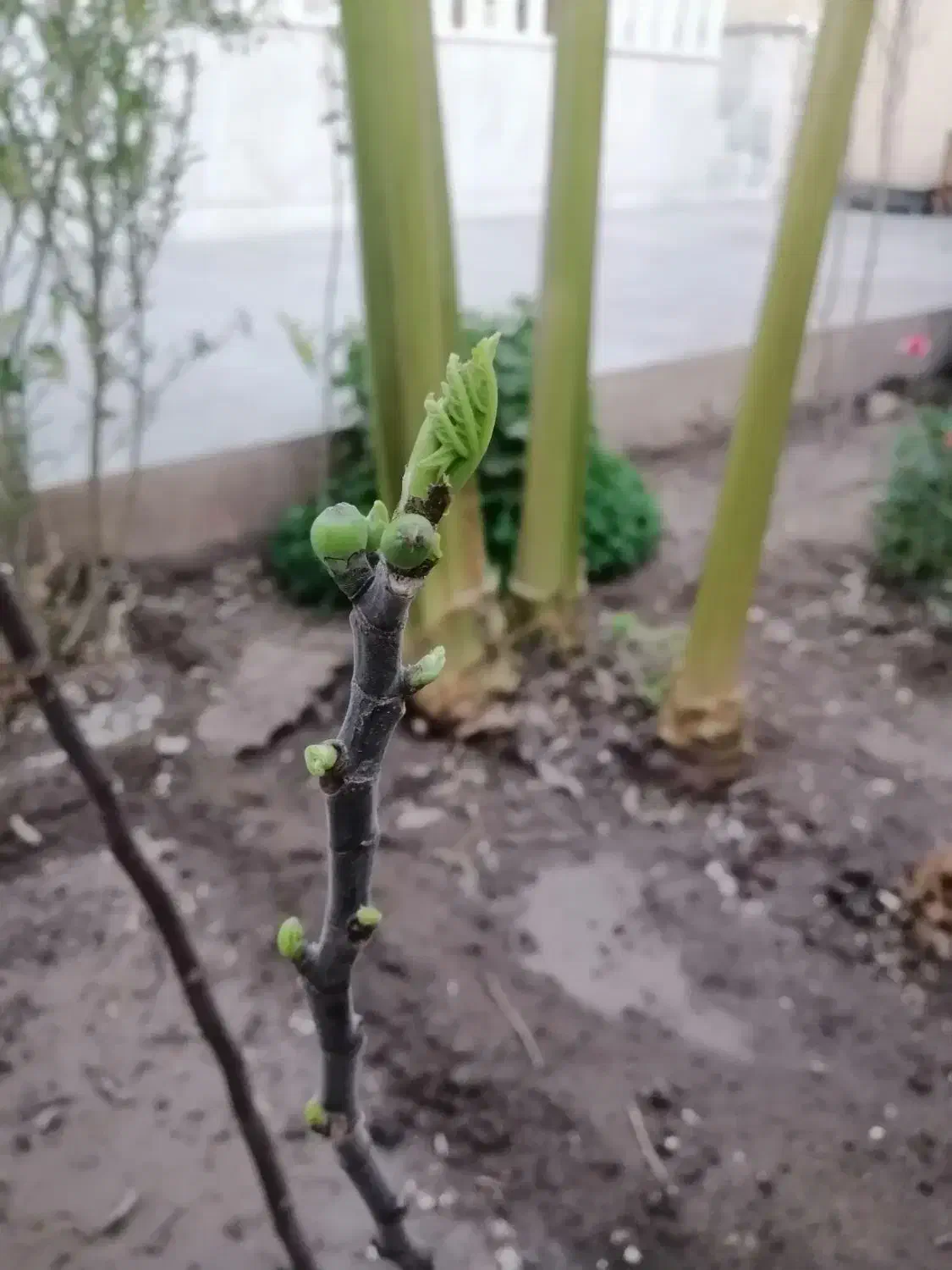 وقتشه|گردهمایی و همایش|یزد, |دیوار