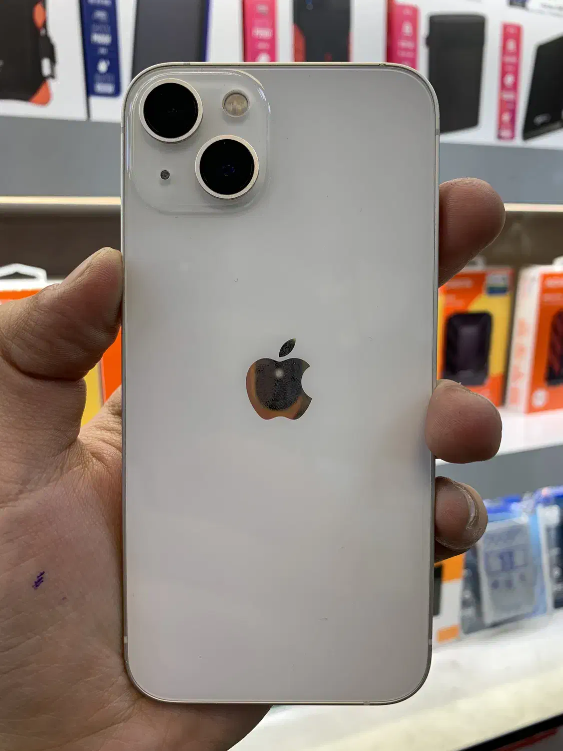 IPHONE 13|موبایل|مشهد, ارشاد|دیوار