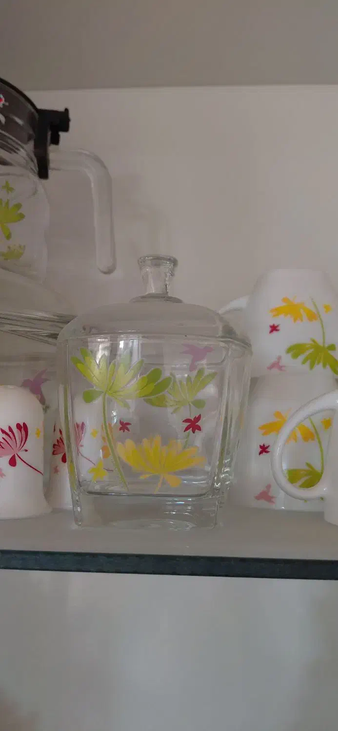 آرکوپال اصل فرانسه نو|ظروف سرو و پذیرایی|قم, نوبهار|دیوار