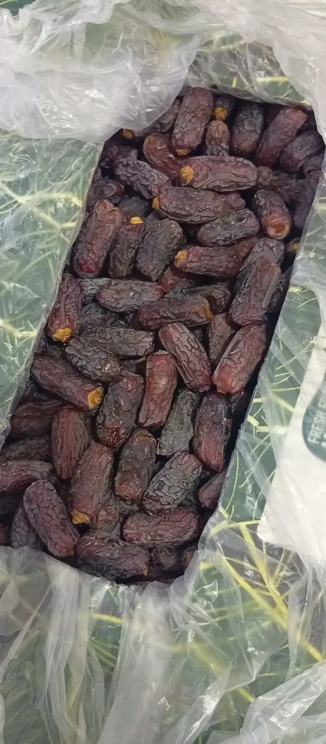 خرمای پیارم -پیارم درجه یک-خرمای جنوب|خوردنی و آشامیدنی|حاجی آباد, |دیوار