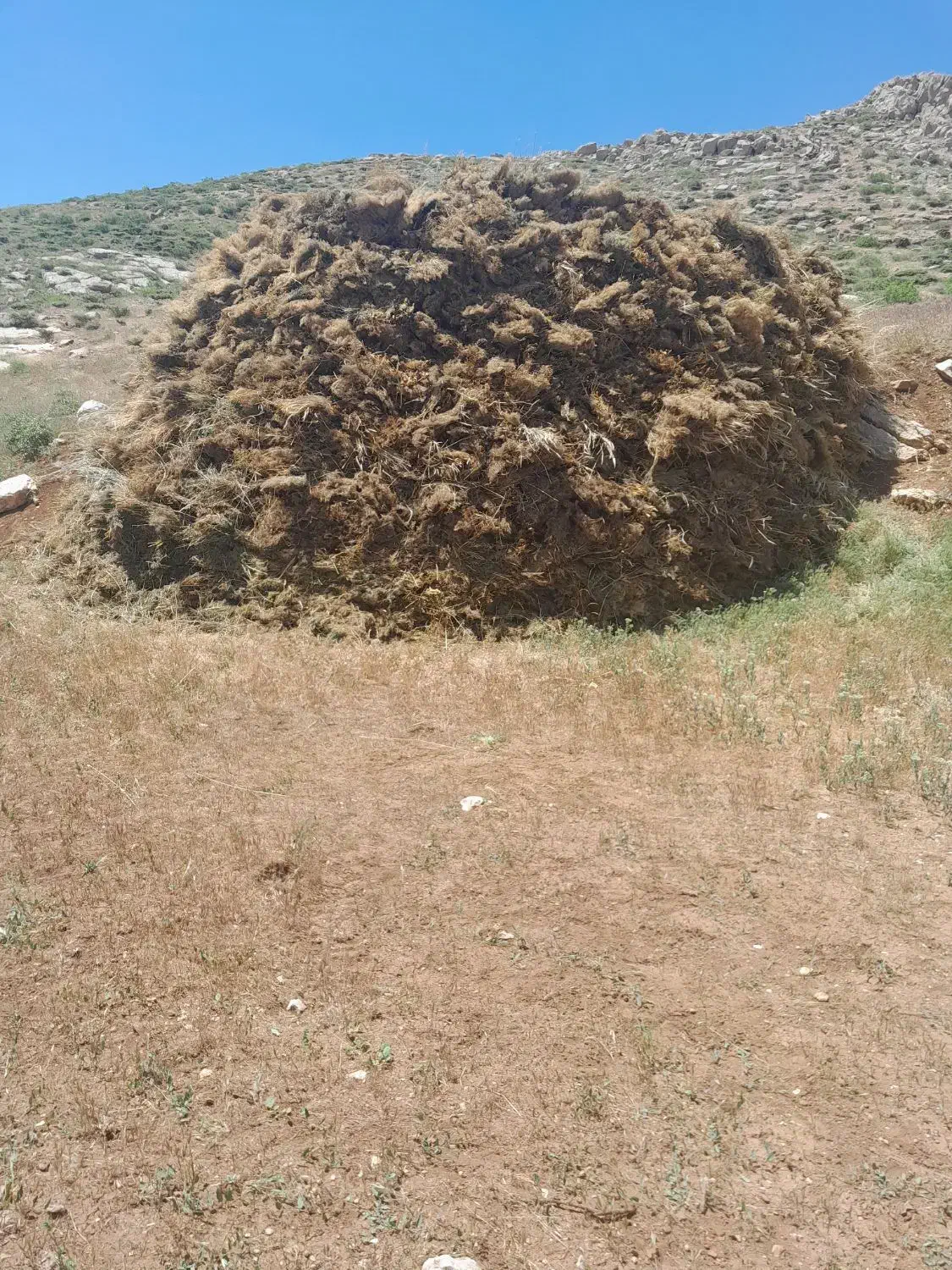 علف|لوازم جانبی حیوانات|اورامان, |دیوار