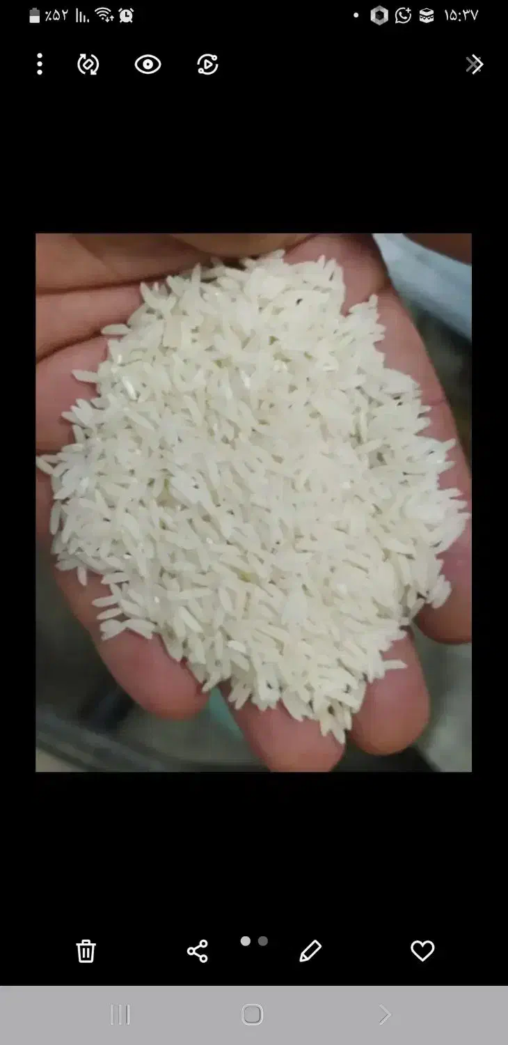 برنج طارم اصل شمال|خوردنی و آشامیدنی|بندر گناوه, |دیوار