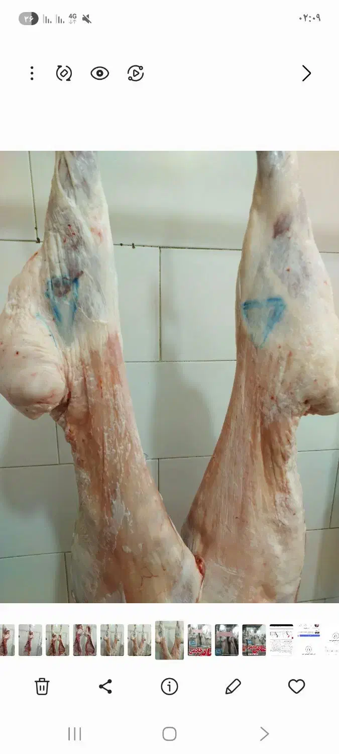 گوشت گوسفندی ازکیلوی ۵۰۰تمن به بالا|خوردنی و آشامیدنی|دهدشت, |دیوار