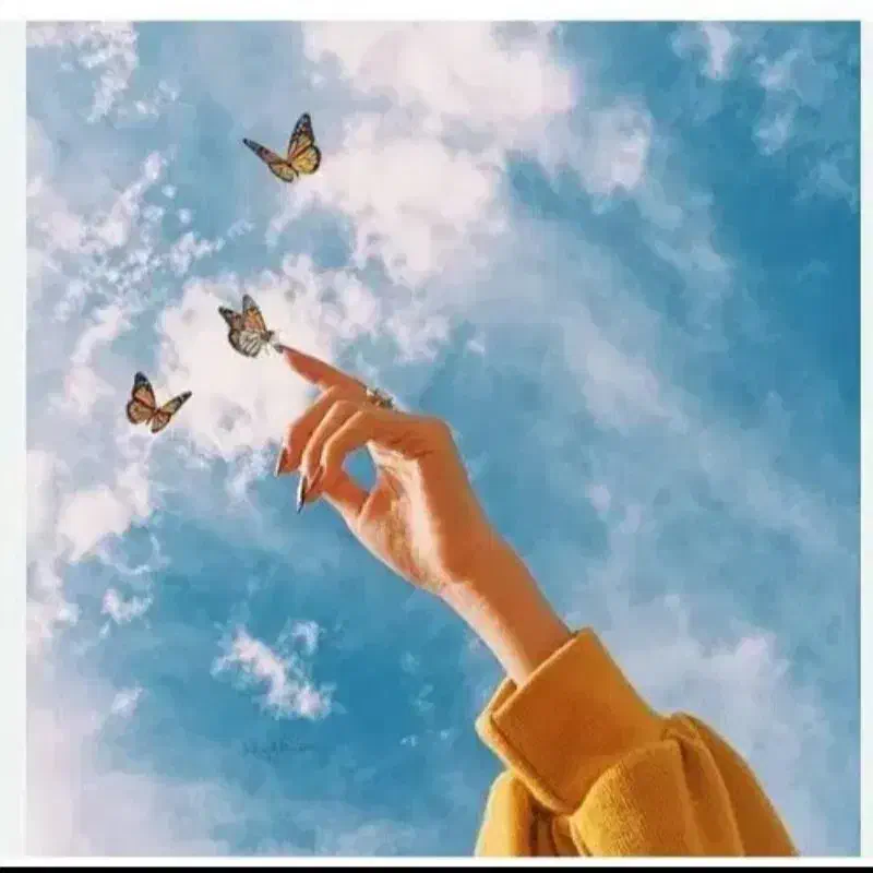 مجله  فال|مجلات|کرج, فاز ۴ مهرشهر|دیوار