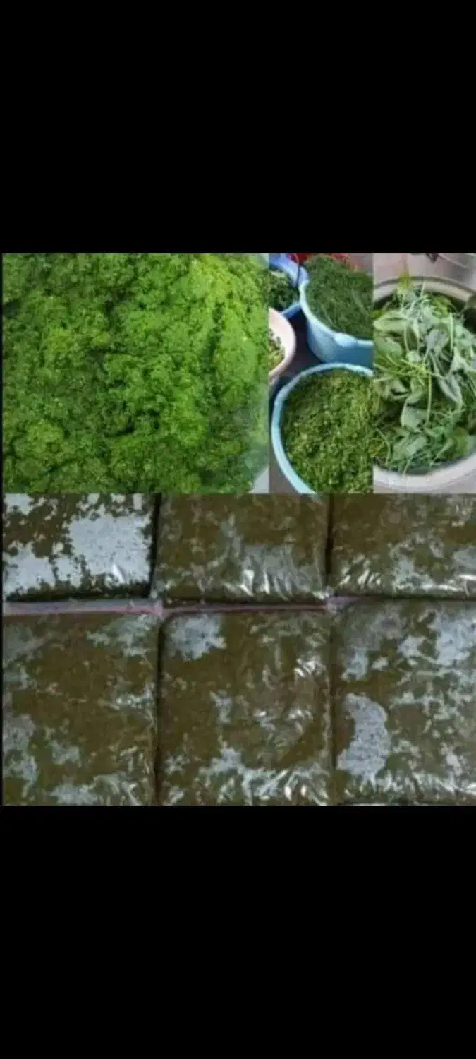 سبزی رامهرمز خوش عطر وخوشمزه عمده وخورده|خوردنی و آشامیدنی|سیراف, |دیوار