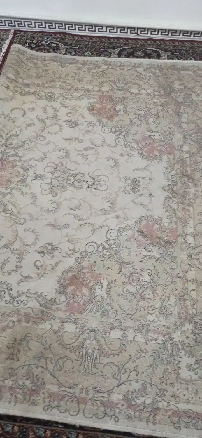 فرش|فرش|هشتگرد, سیف آباد|دیوار